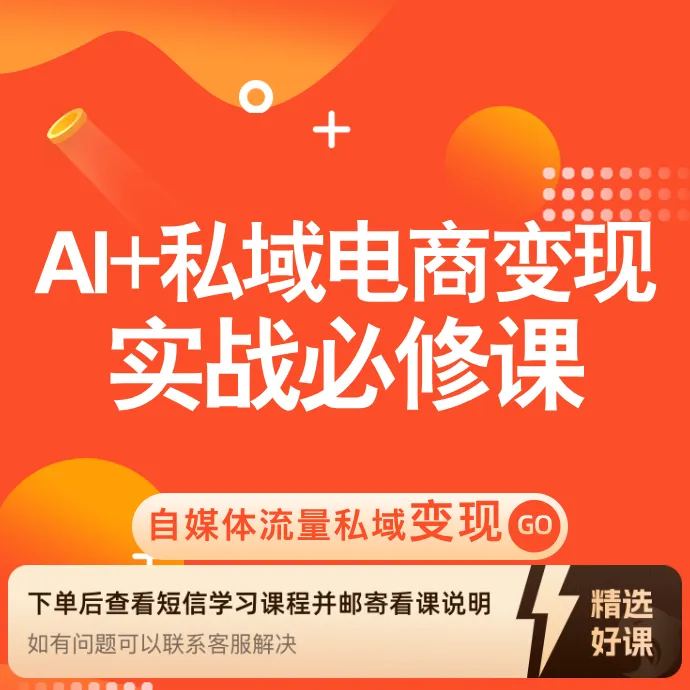 AI+私域电商（大课）（留意短信解锁课程）