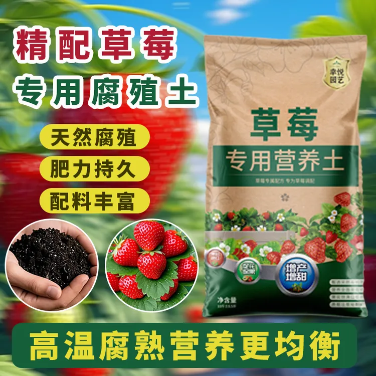 专用土营养土批发阳台草莓肥料专用肥盆栽草莓苗土壤泥土种植土