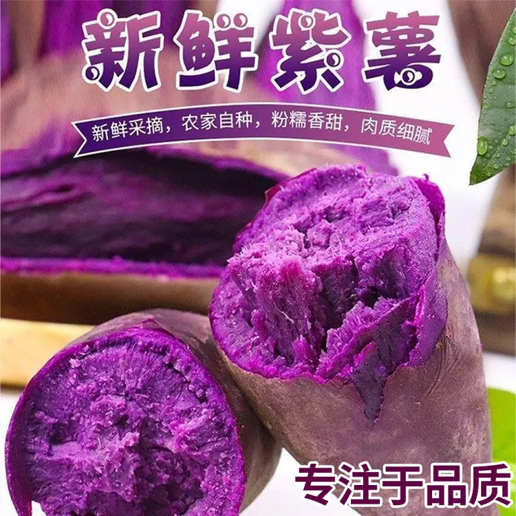 【与辉】香甜产地坏粗粮沙地软糯紫薯地瓜口感好大果直发果包赔新鲜