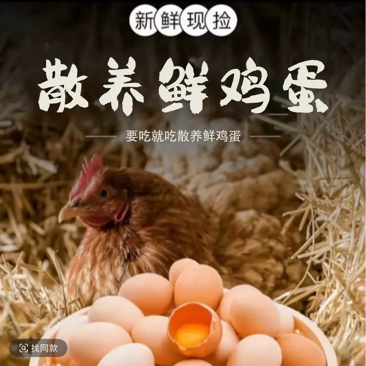 买30枚送20枚【50枚]散养鸡蛋新鲜营养健康每日农村甄选鲜蛋
