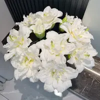 【源头优选】白雪公主重瓣百合-任意2单升级快递 发货后不支持退款