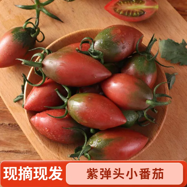 （3斤）紫弹头小番茄子弹头圣女果福建漳州新鲜西红柿应季孕妇水果商品图