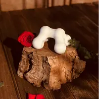 颈椎按摩/身体按摩器 出岛国 聚丙烯材质