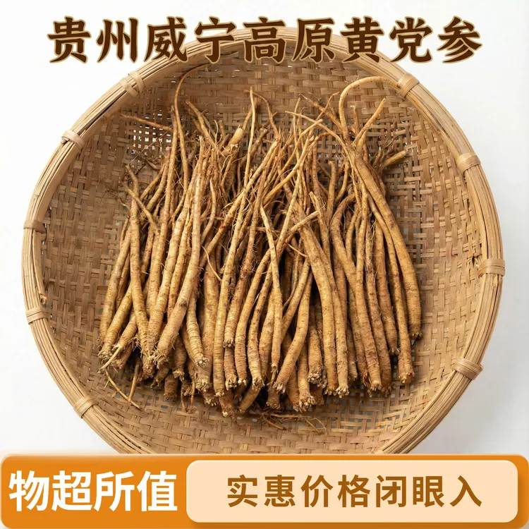 贵州威宁高原鲜黄党参现挖现货直达煲汤鲜醇高原原生态食材
