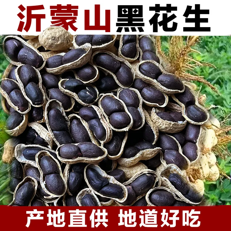 带壳黑花生稀缺山地小粒老品种小珍珠滋补养胃100克1斤/3斤/5斤