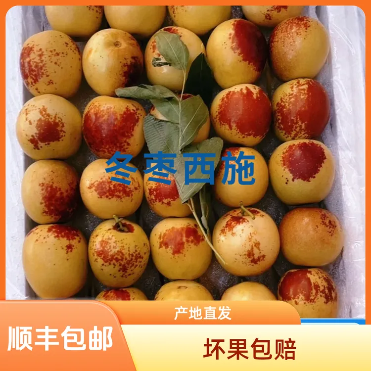 陕西大荔正宗现摘冰糖冬枣脆甜多汁新鲜应季水果