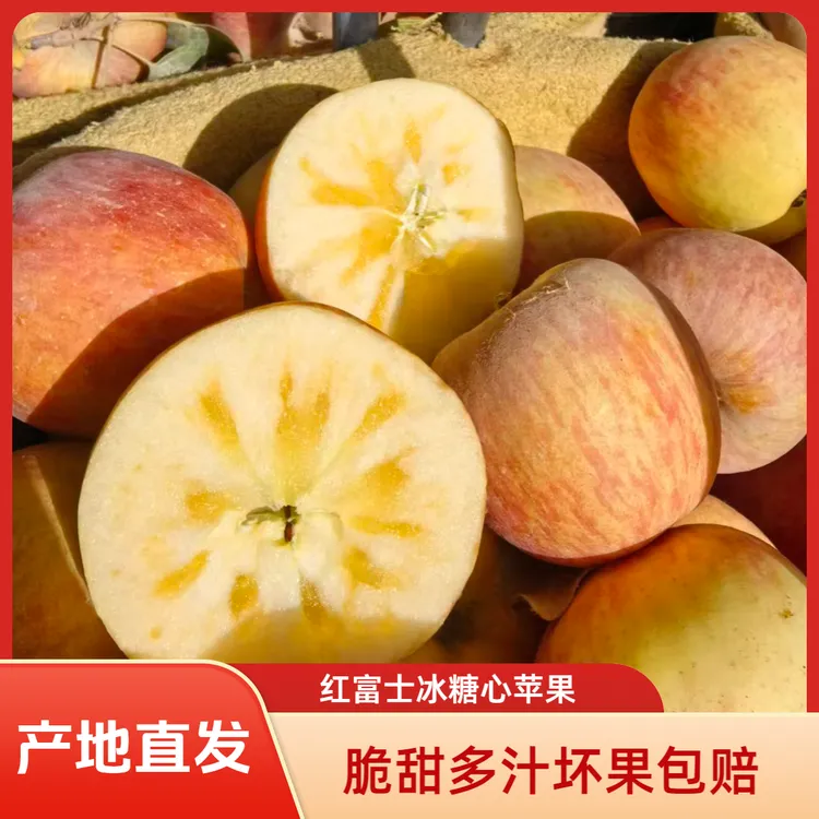 【产地直发】真宗阿克苏红旗坡冰糖心苹果坏果包赔脆甜多汁