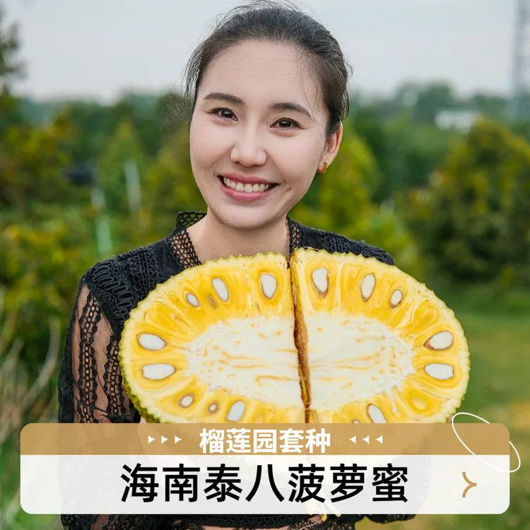 【艾扎专属】树熟泰8菠萝蜜 海南自家果园 脆爽香甜 干包黄肉