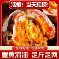 【大闸蟹】江苏精品蟹 2母/2.5母/3两母全母8/10只 精选正宗大闸蟹