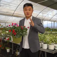 桌面摆件简约花盆水培盆
