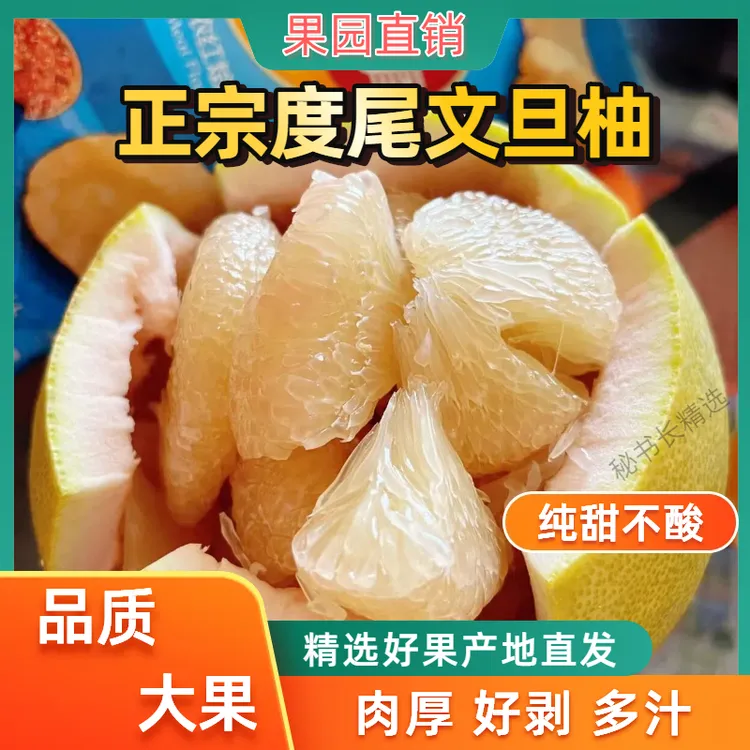 福建度尾文旦柚老树正宗新鲜当季孕妇水果酸甜多汁