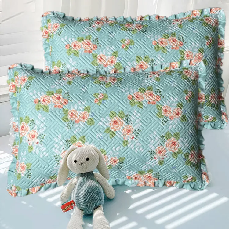 40*60cm四季学生耐脏枕套一对装45*74家庭常用加厚拉链成人枕头套