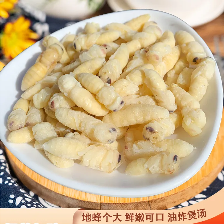 蜂蛹虎头蜂蛹新鲜冷冻大马蜂金环胡峰白蜂蛹蜂子云南昆虫