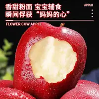 甘肃天水花牛苹果新鲜当季水果脆粉两吃整箱包邮