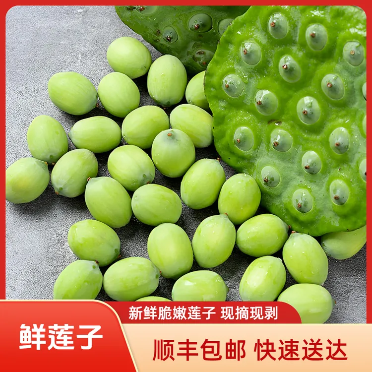 【顺丰包邮】新鲜脆嫩莲子应季莲蓬孕妇生吃莲蓬米农家自种现摘现剥
