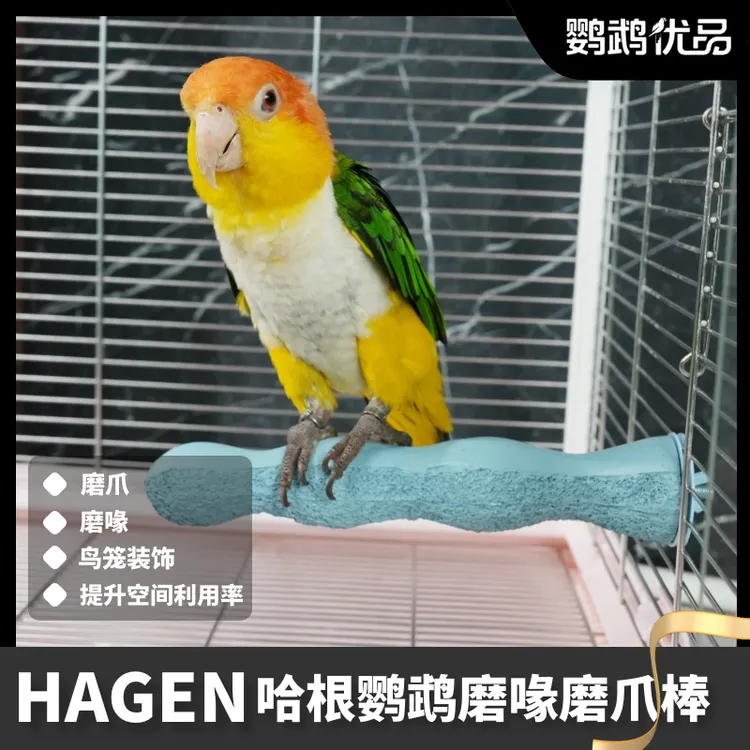 正品哈根哈利鹦鹉磨爪棒磨指甲磨嘴站杆站棍凯克灰机磨砂玩具站架
