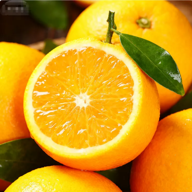【京东送货上门】1东稻果园橙子湖北宜昌产地直发新鲜采摘甜橙脐橙