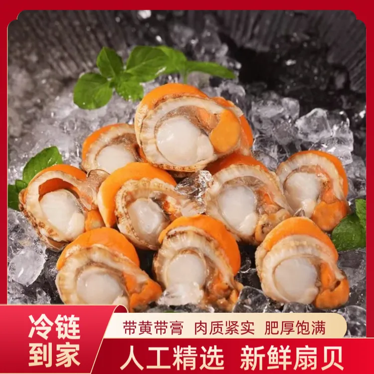 （5包5斤）新鲜速冻 港湾贝 大个带膏带黄 去壳无沙 冷链发货