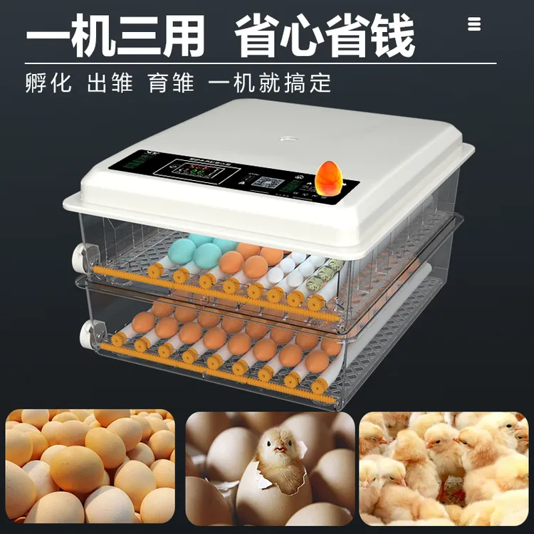 新伟达小型家用全自动智能孵化器鸡鸭鹅鸽子芦丁鸡全自动孵化器