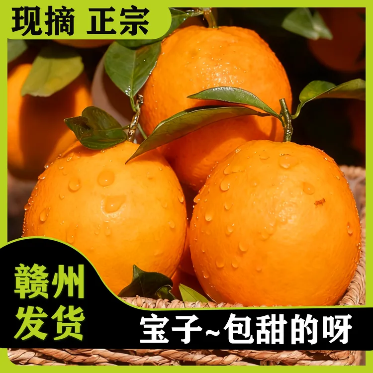现摘正宗赣南脐橙赣州产地直发江西10斤大果当季新鲜水果橙子5斤