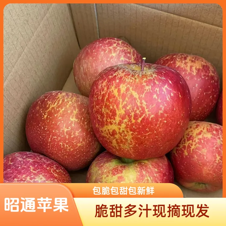 正宗云南昭通丑苹果冰糖心应季新鲜现摘水果脆甜多汁产地直发包邮