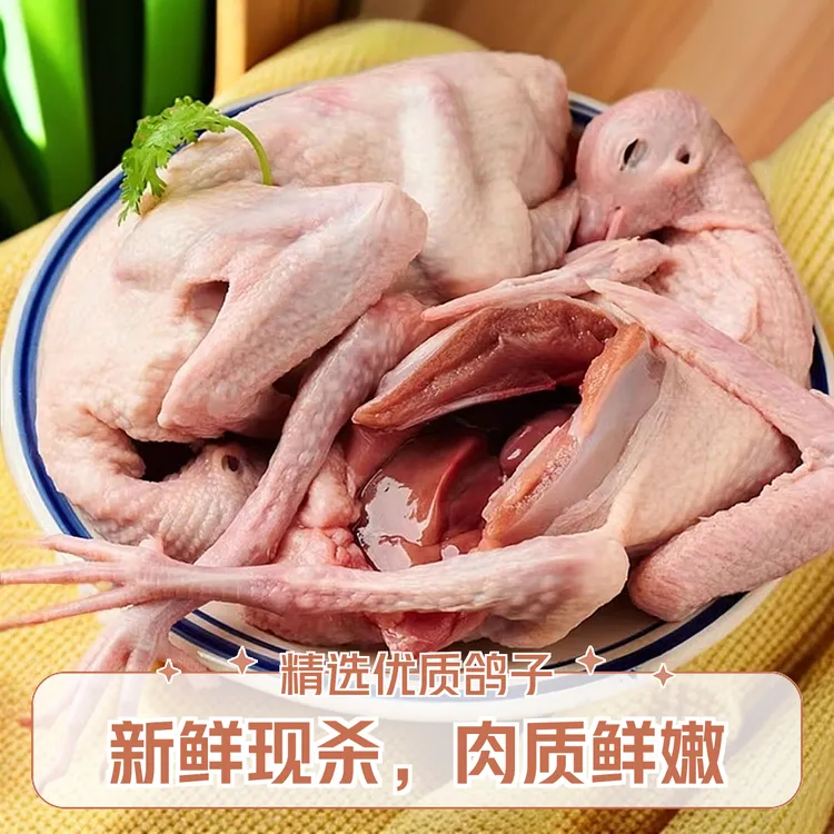 滋补生鲜乳鸽新鲜现杀鸽子活鸽子顺丰包邮