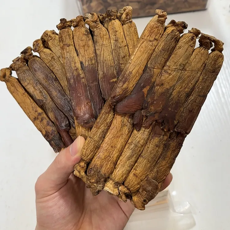 韩种高丽参砖天字号300g 黄马褂高丽参菊花心纹理清晰