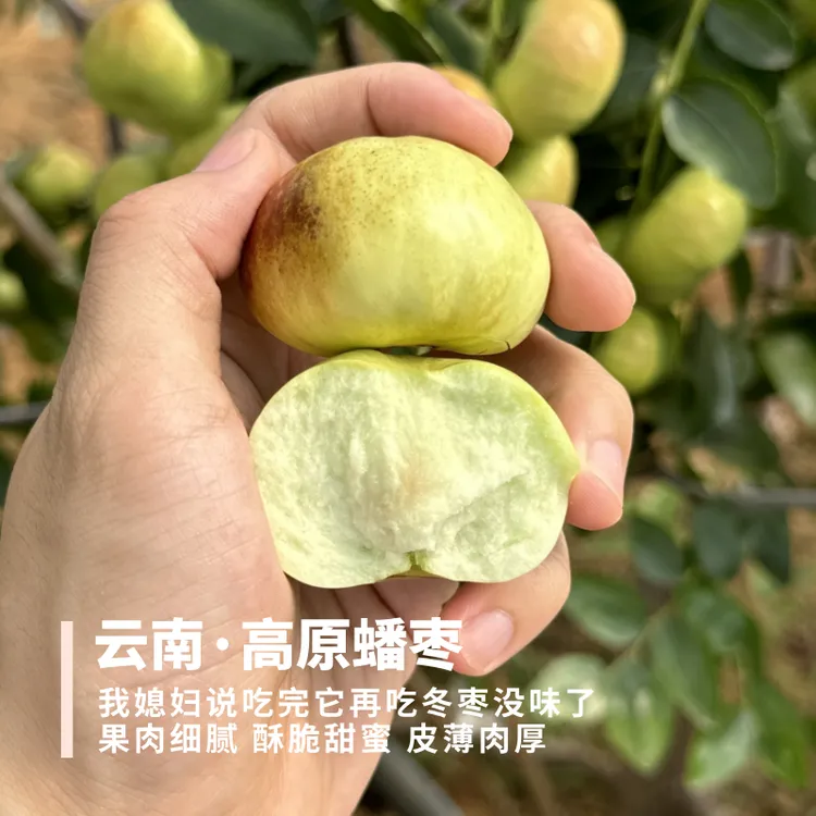 高原蟠枣 云南蒙自 果肉细腻 酥脆甜蜜 皮薄肉厚 冬枣 2斤