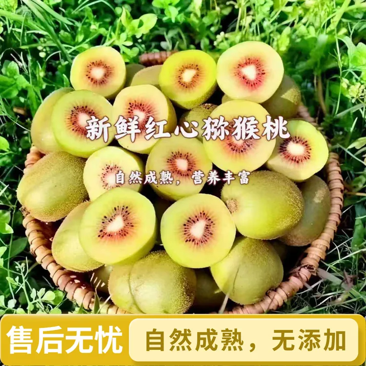 正宗贵州水城猴场红心猕猴桃奇异果当季新鲜孕妇水果香甜多汁