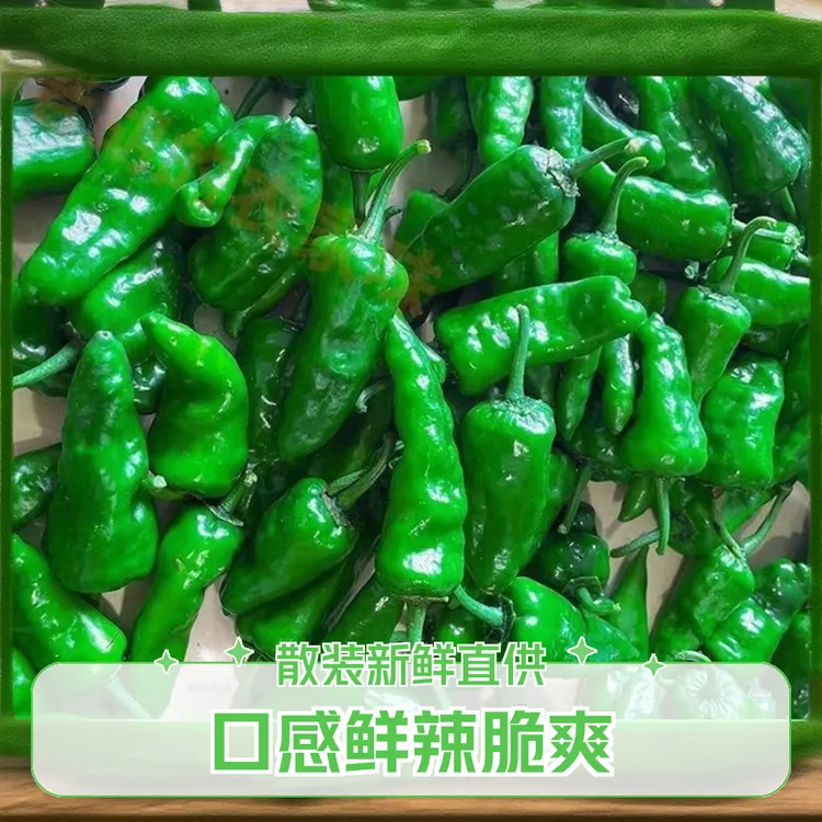 广东正宗余干辣椒新鲜薄皮辣椒当季新鲜蔬菜辣椒枫树辣土辣椒爆辣