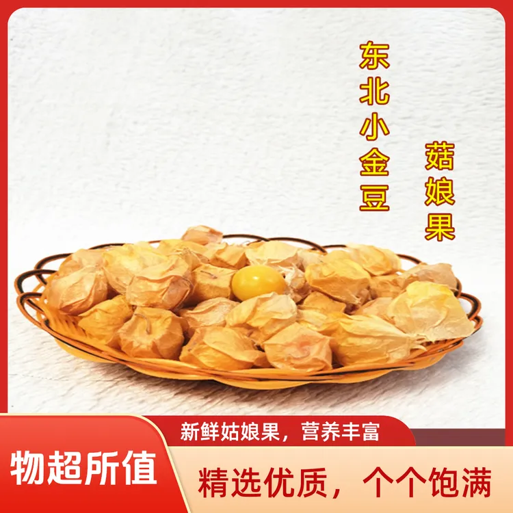 黑龙江省伊春市小姑娘果小金豆小果新鲜水果皮薄甜黄菇娘