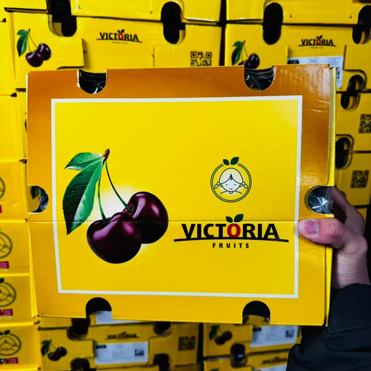 “VICTORIA”智利桑提娜海运车厘子3JJJD 内附果径卡“顺丰包邮”