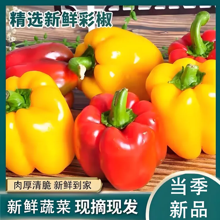 新鲜水果彩椒五彩甜椒生吃红黄灯笼椒即食蔬菜