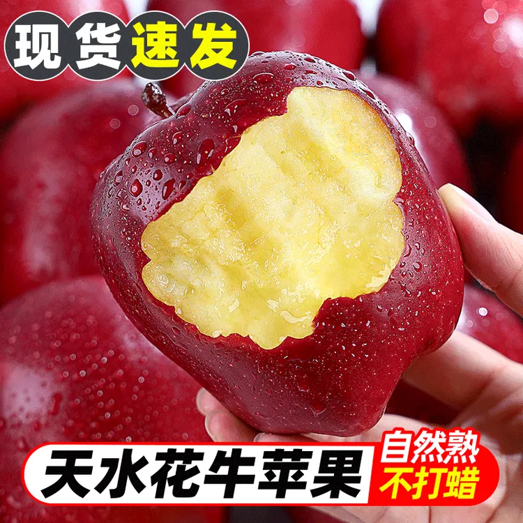 【坏果包赔】甘肃天水花牛苹果当季新鲜水果脆粉两吃香甜多汁