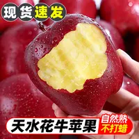 【坏果包赔】甘肃天水花牛苹果当季新鲜水果脆粉两吃香甜多汁a