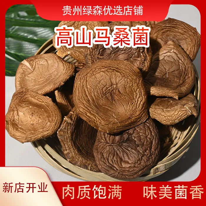 【贵州特产】林下马桑菌干菇马桑菌干货炖炒煮50g净重发货家庭装