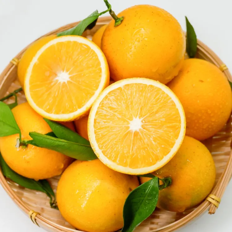 湖南麻阳冰糖橙9斤香甜多汁新鲜采摘
