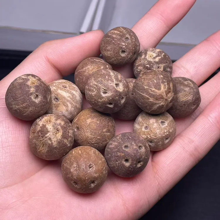 【尚韵文玩】紫金鼠圆滚滚收藏级四眼光珠原皮  未打孔 