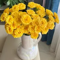  【云舍花卉】【梦幻芭比】多头玫瑰 全场鲜花任意满两单及以上包邮