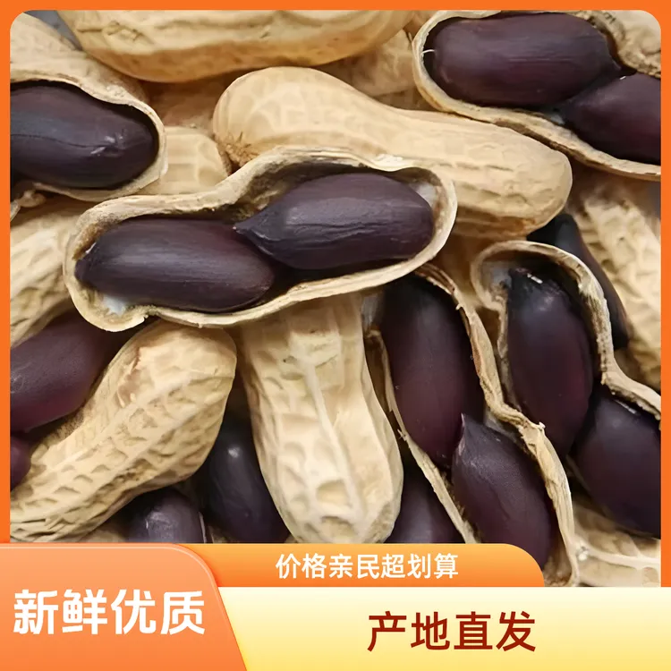 【中秋福利】4斤9斤黑花生25年鲜花生晾晒发货直发营养300g河北涿州