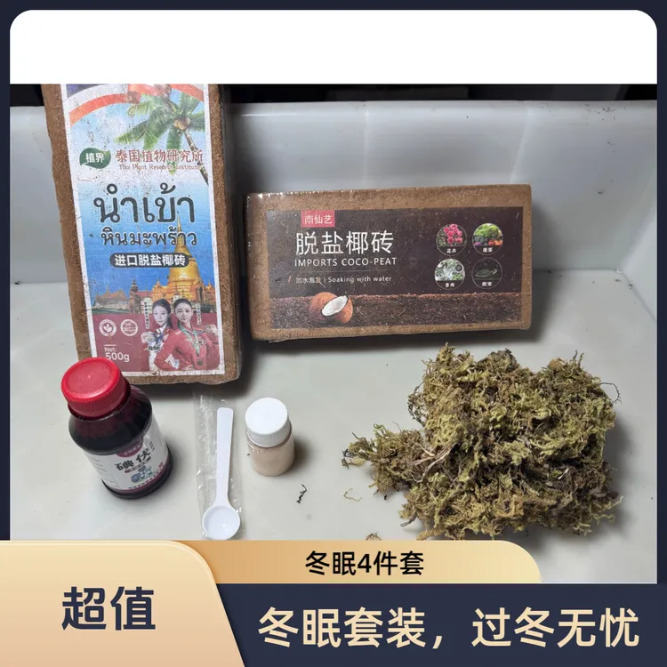 乌龟冬眠套餐宠物龟活体小乌龟小草龟冬眠介质椰土椰砖青苔椰糠