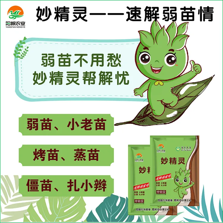 大姜妙精灵解决弱苗小老苗烤苗蒸苗僵苗扎小辫等问题