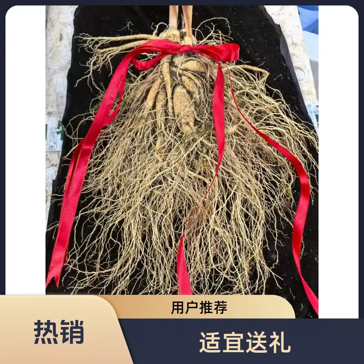 长白山鲜人参原产地适合泡酒送礼【保温箱+青苔发货】