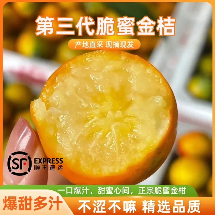 【第三代】脆蜜金桔纯甜无酸新鲜水果产地直发爆甜多汁孕妇适用甜