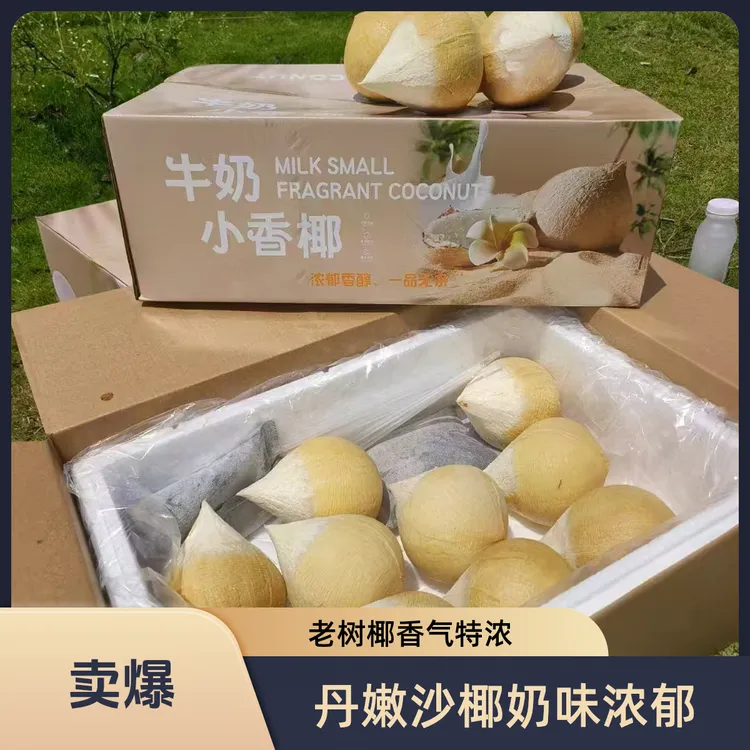 丹嫩沙多核心产区椰皇老树椰奶香浓郁含天然电解质水