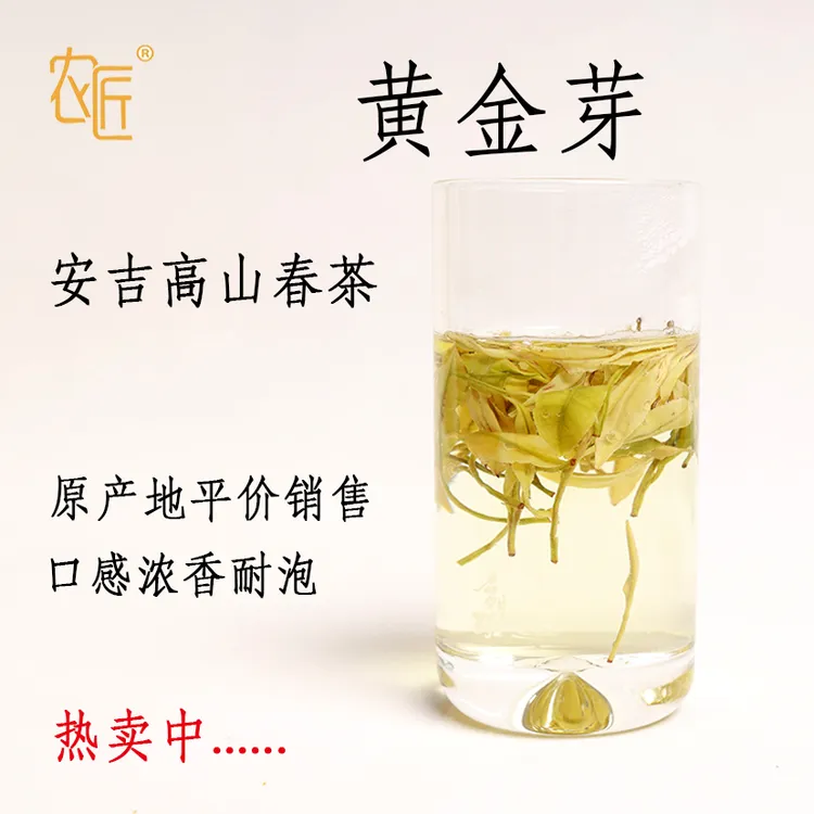 新茶 安吉核心产区 早春黄金芽 口感浓香 甘甜浓郁