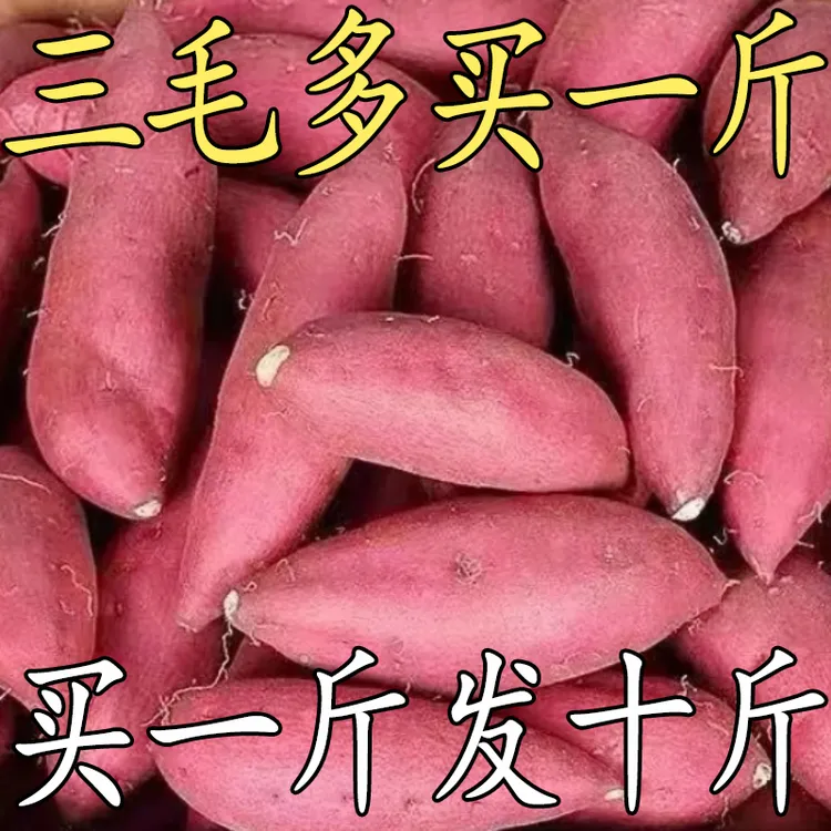 【半价抢】超甜新鲜蜜薯正宗蜜薯黄心板栗薯番薯地瓜蔬菜烟薯