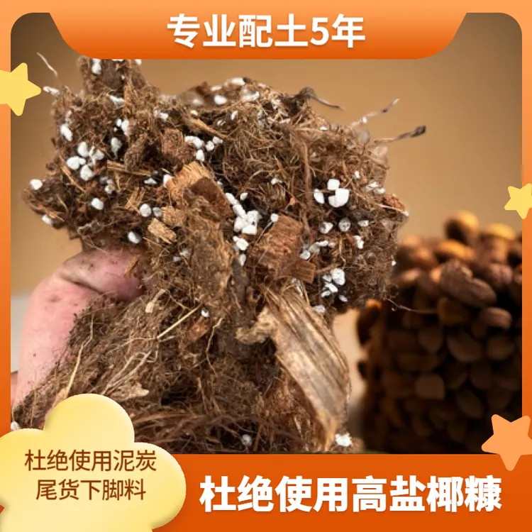 蓝莓专用酸性栽培基质疏松透气生根壮苗易养活家庭养殖蓝莓好帮手