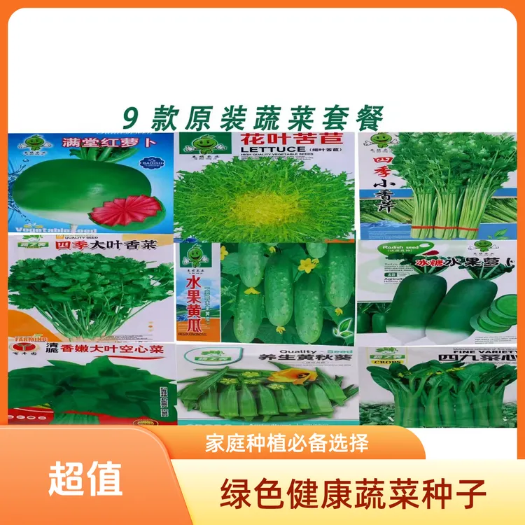 蔬菜冬种秋冬四季青菜秋农家种子南方冬季菜籽菜种大全种籽莱籽种