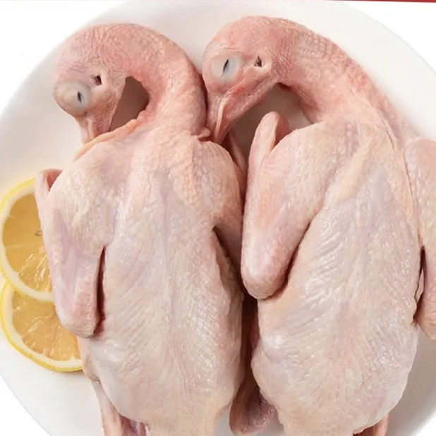 崇明岛生态乳鸽 350g  2只装